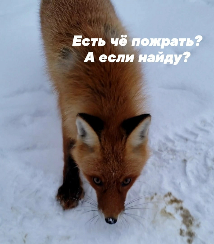 ����� ����� �� ������ ���� 3