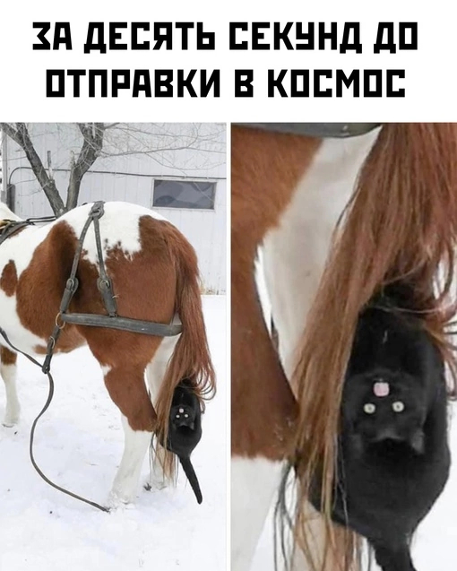 Роскосмос начало