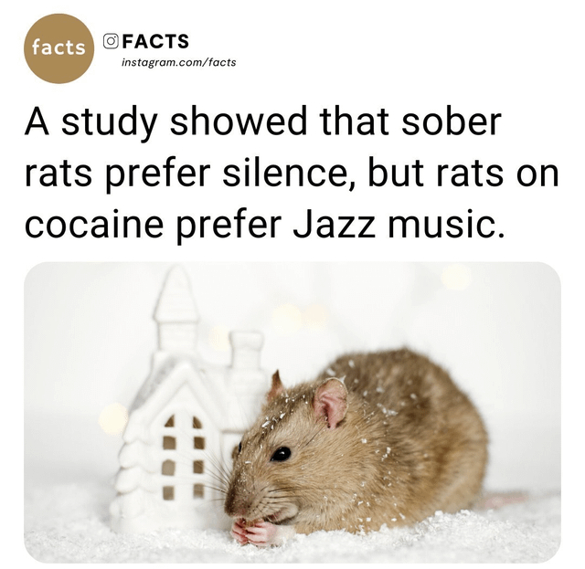 ���������� ����