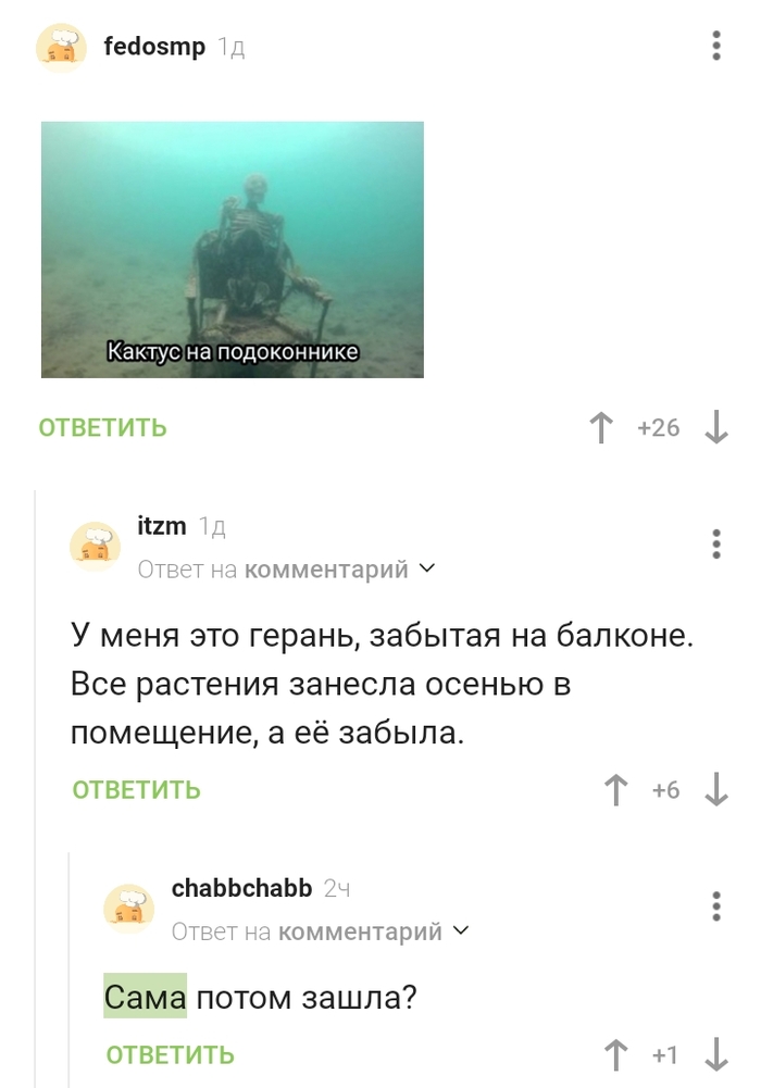 Герань на балконе