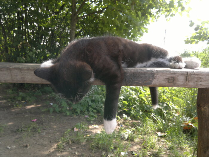 ������ ��������...