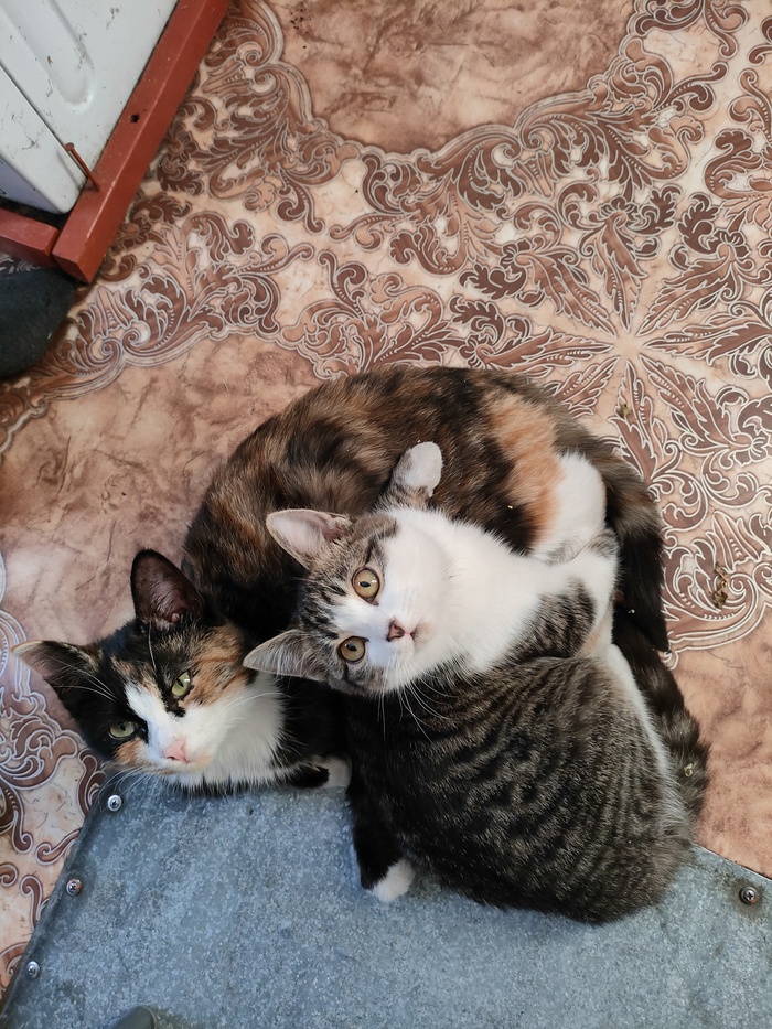 �������������