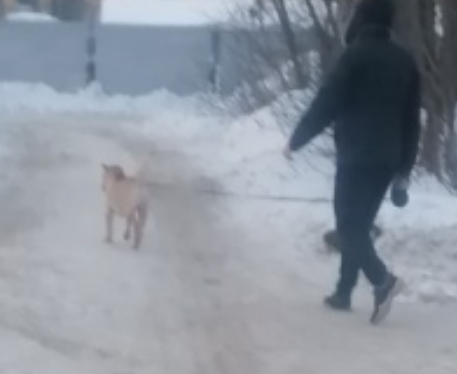 ���� �� �������