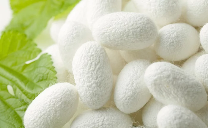 Что это за штука - 172 Reddit, Перевел сам, WhatIsThisThing, Видео, YouTube, Длиннопост Что это за штука - 172 Reddit, Перевел сам, WhatIsThisThing, Видео, YouTube, Длиннопост