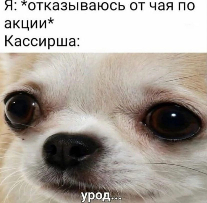 Бездушный человек