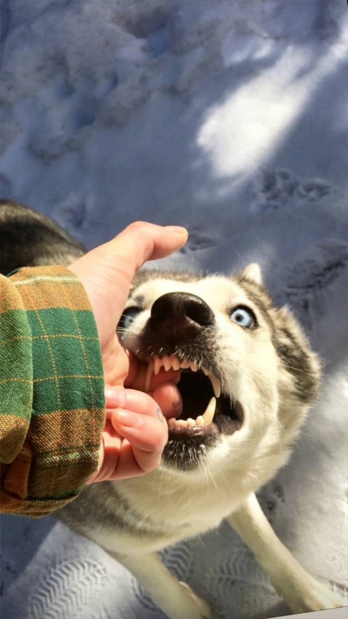 ������ �������