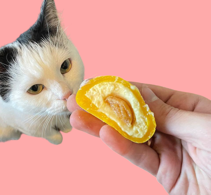  .        "" ,  , , 