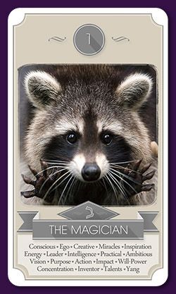 ����������;