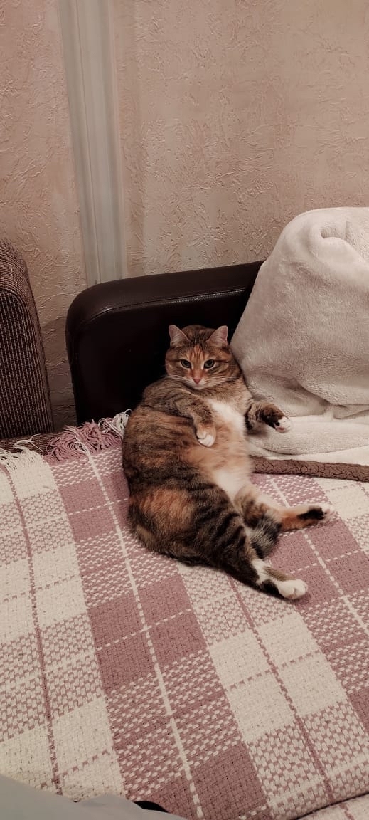 Специально чтобы Олька могла подписаться