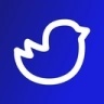     Twitter IPL
