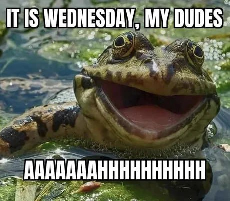 It is wednesday, my dudes!