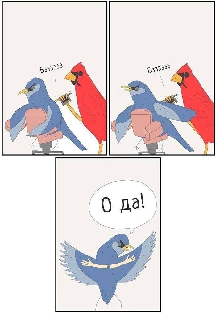 Набью себе руки во все крылья