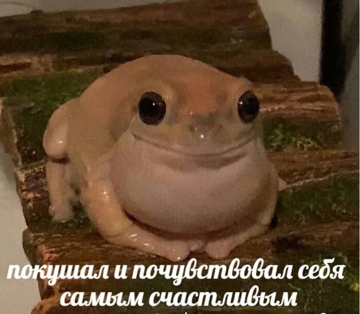 Покушай, чувак