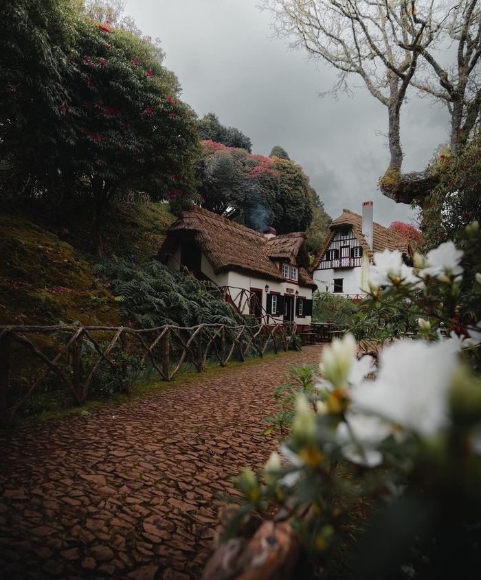 Мадейра, Португалия