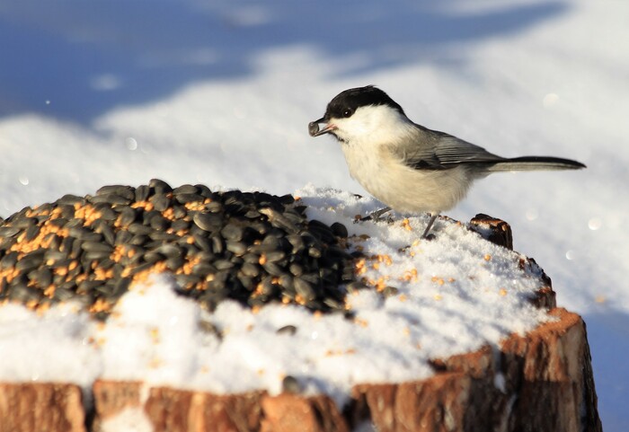 Это что, всё мне???