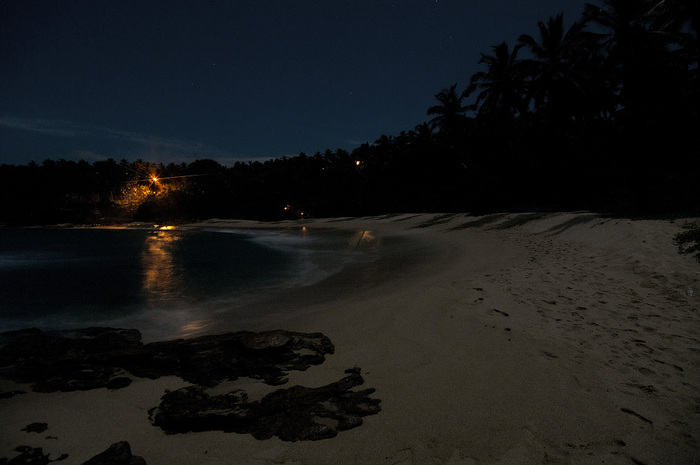 ���� ��������� ����