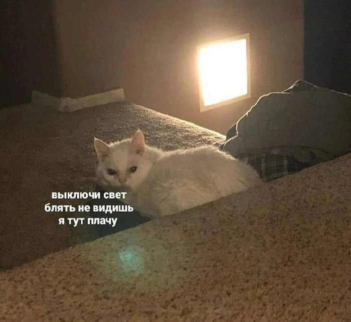   ,   , , 