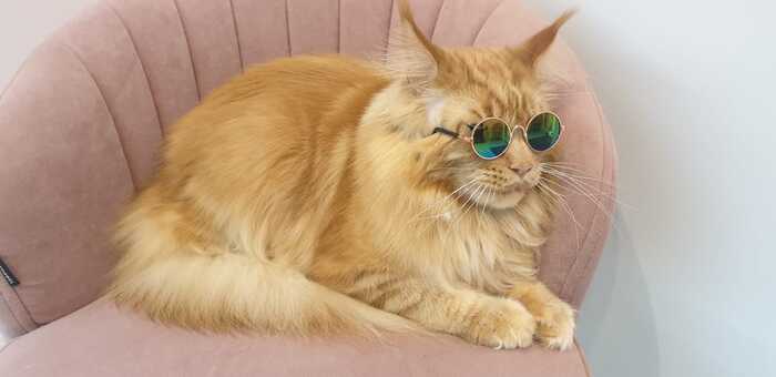 ��� � �����