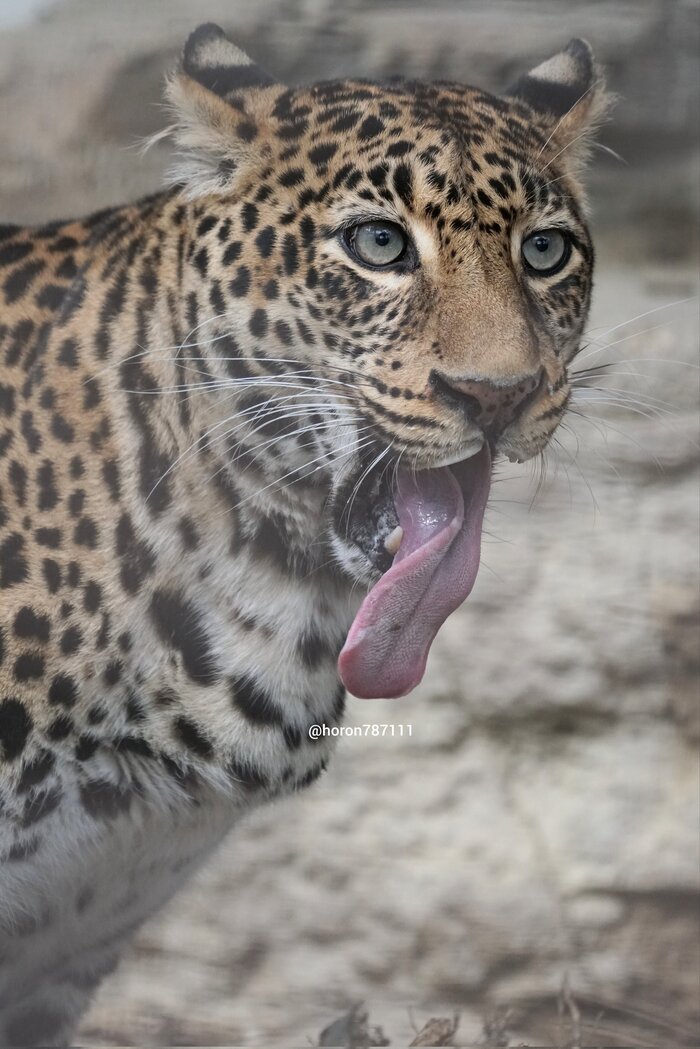 Померяемся?