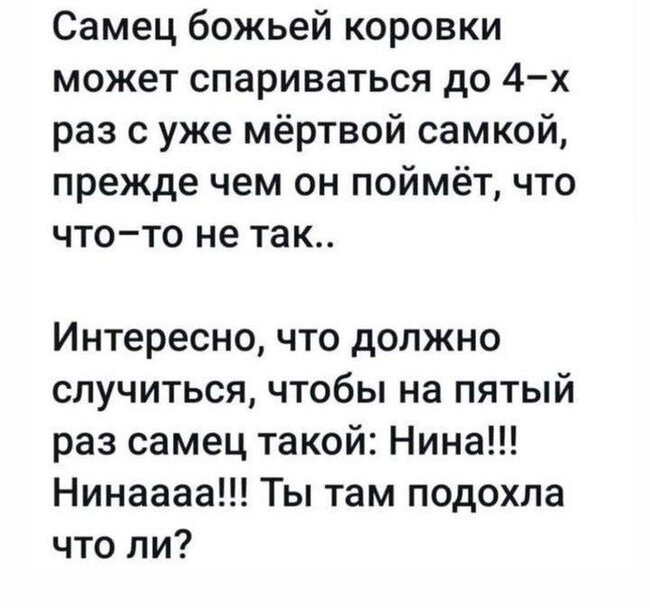 Из жизни насекомых