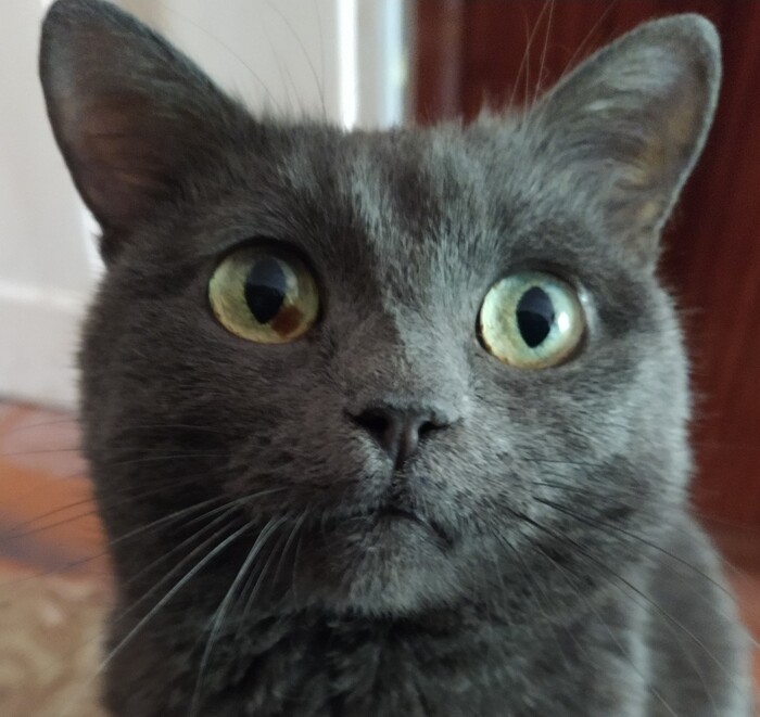 Ответ на пост «Приходила попрощаться»