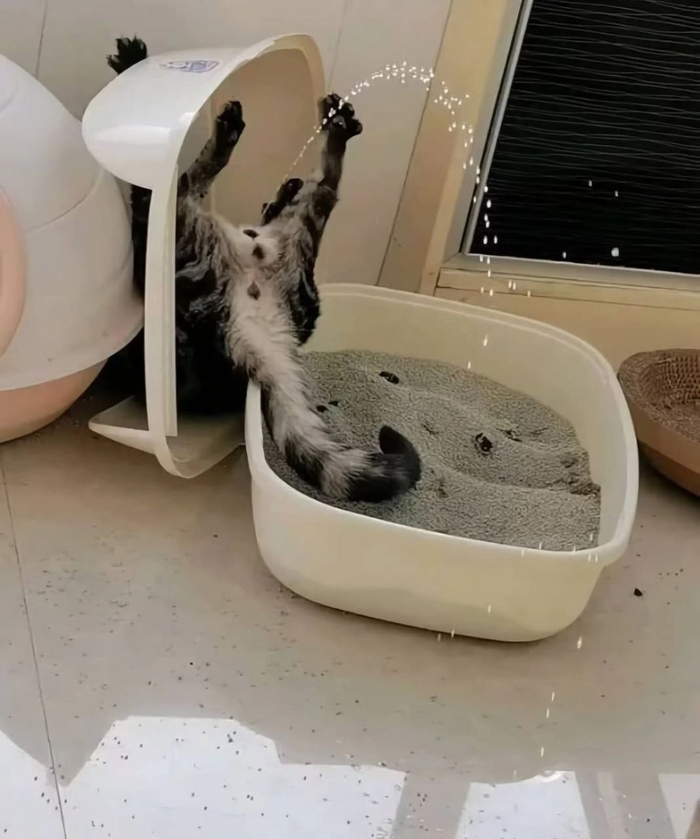 �������� �� ���������