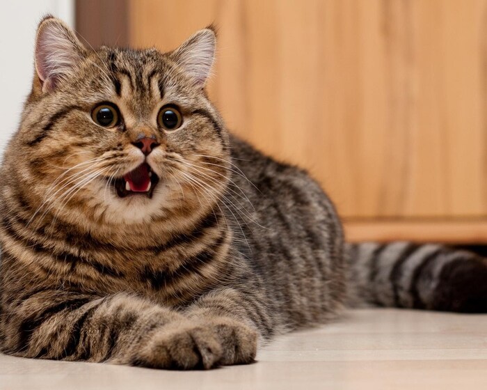 Ответ на пост «Узнаете эту девушку?»