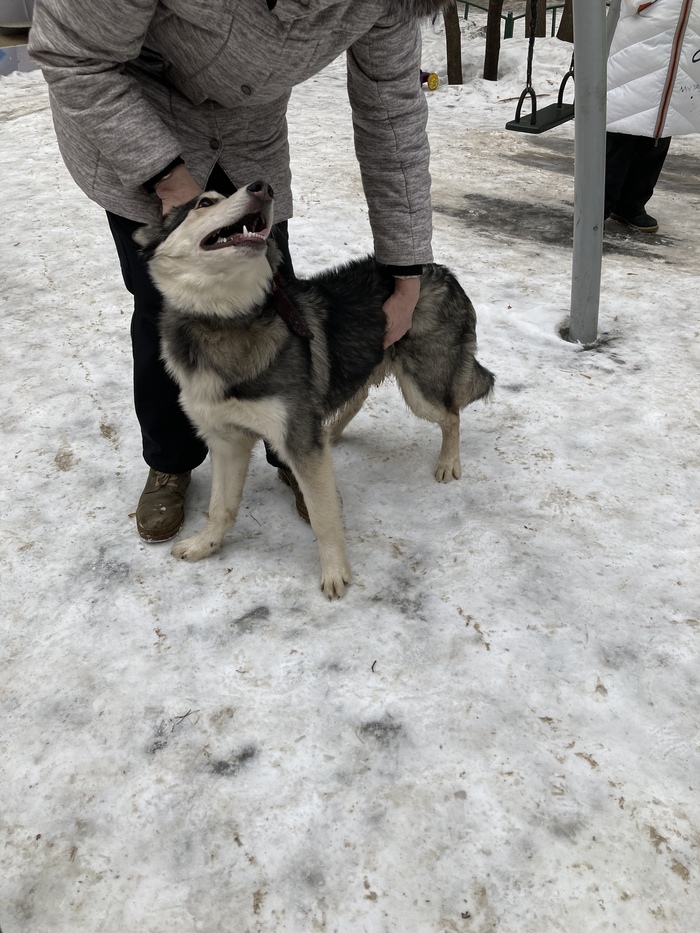 ��� ������ �������?