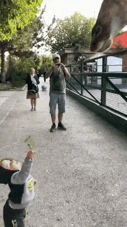     ,   , , , 