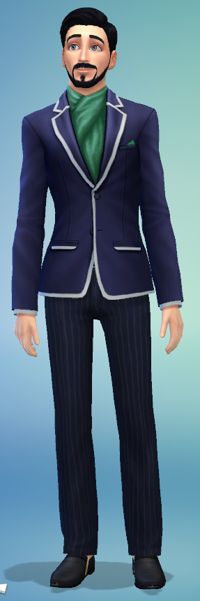   (The Sims 4) The Sims, , Custom, 