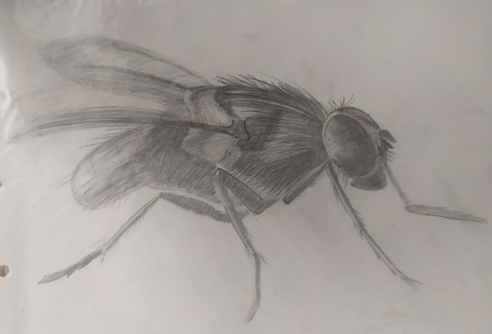 Всё по тому же самоучителю