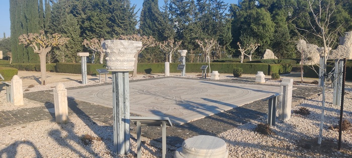 И снова парк яркон