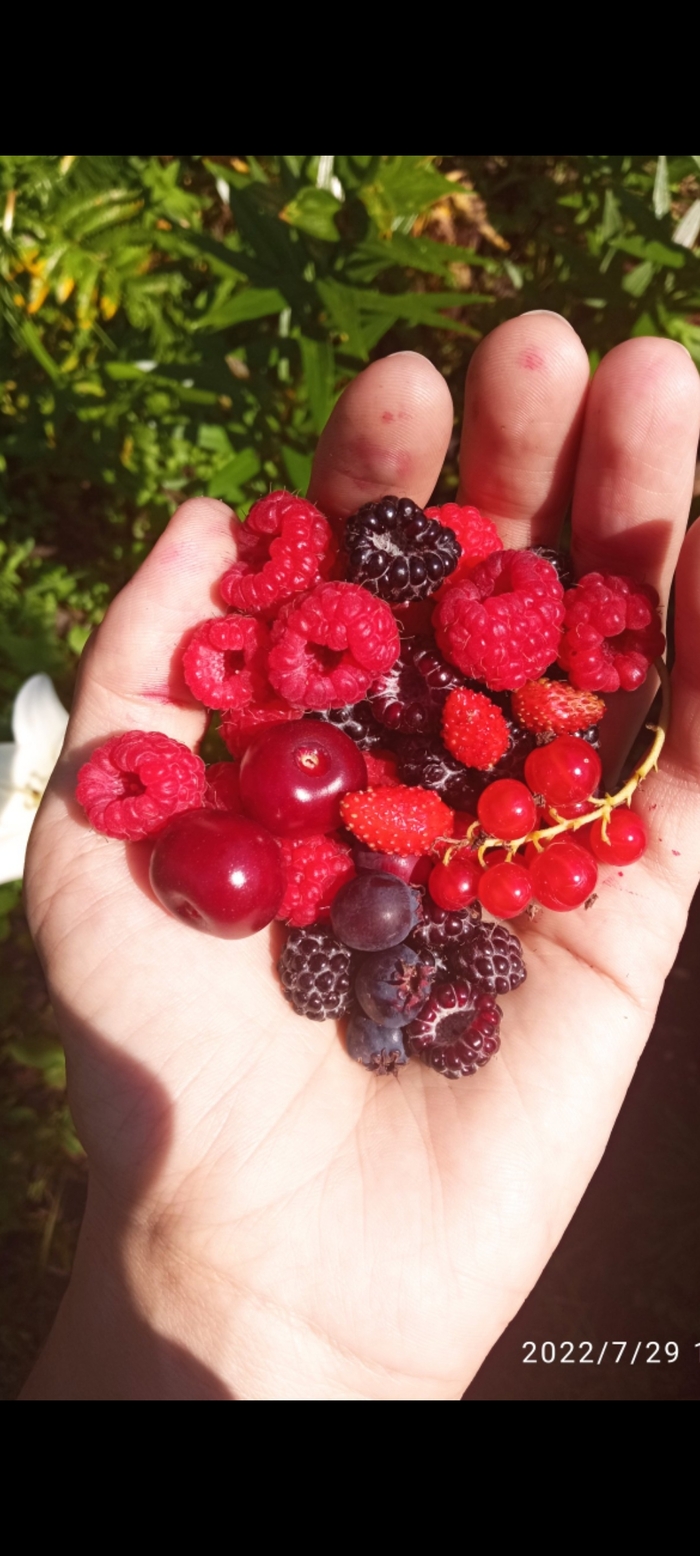 ������� ����