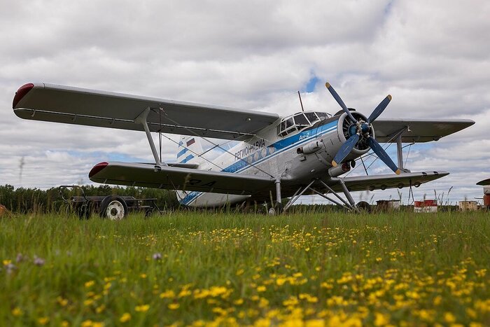 Ан-2. Последний герой российской авиации. Самый народный самолет и его непростая история Авиация, Самолет, Полет, Аэропорт, Ан-2, Рейс, Военная техника, Техника, Кабина пилота, Пилот, Вертолет, Аэродром, Взлет, Посадка, Ракета, Технологии, СССР, Сделано в СССР, История авиации, Танки, Длиннопост