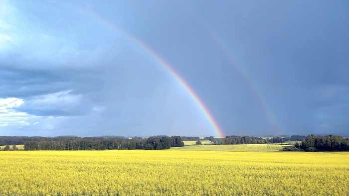 ������ ����� �����