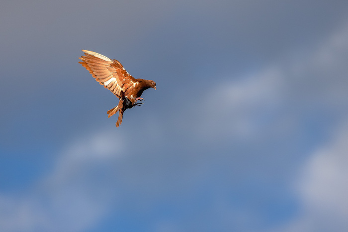 Фрагмент полета