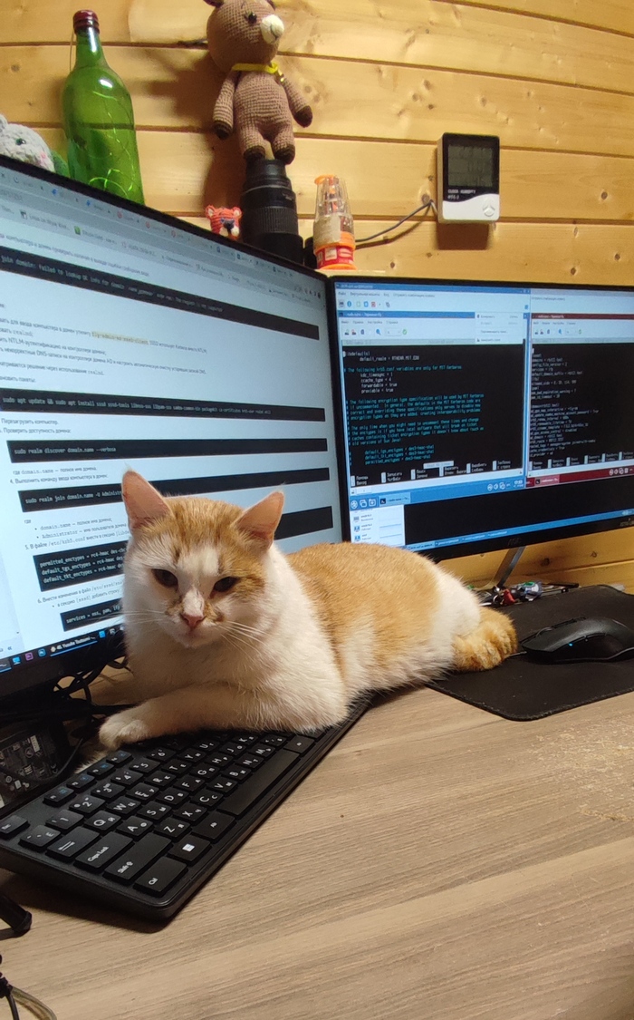 Помощник инженера техподдержки