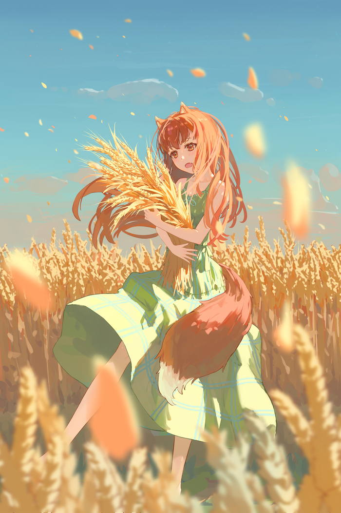    Anime Art, , Holo, Spice and Wolf, Animal Ears, Dobutsu, 