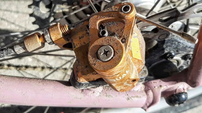 Crust Bombora | Пикабу