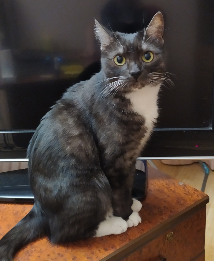 �� ���� ��������?