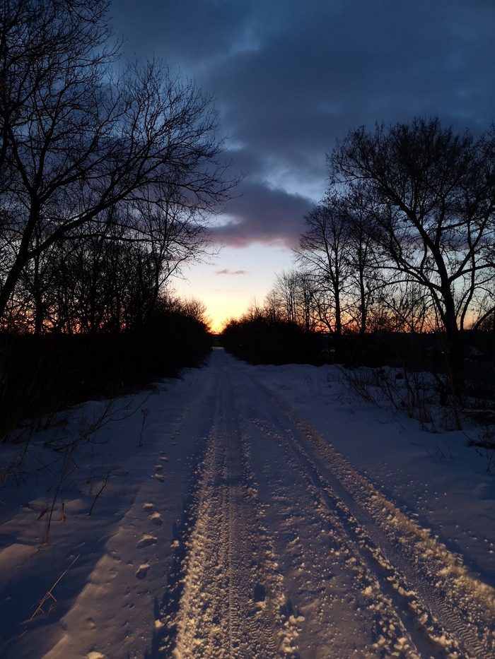 Дорога домой