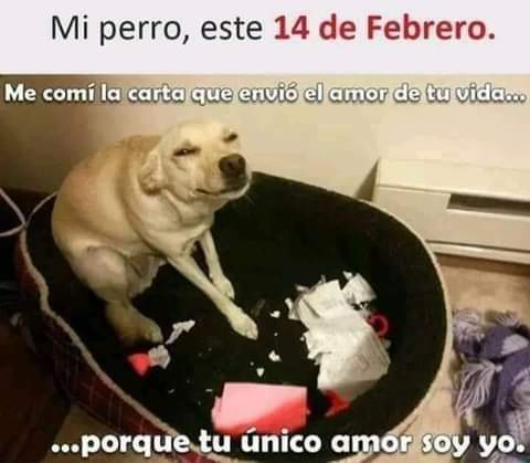 День святого Валентина