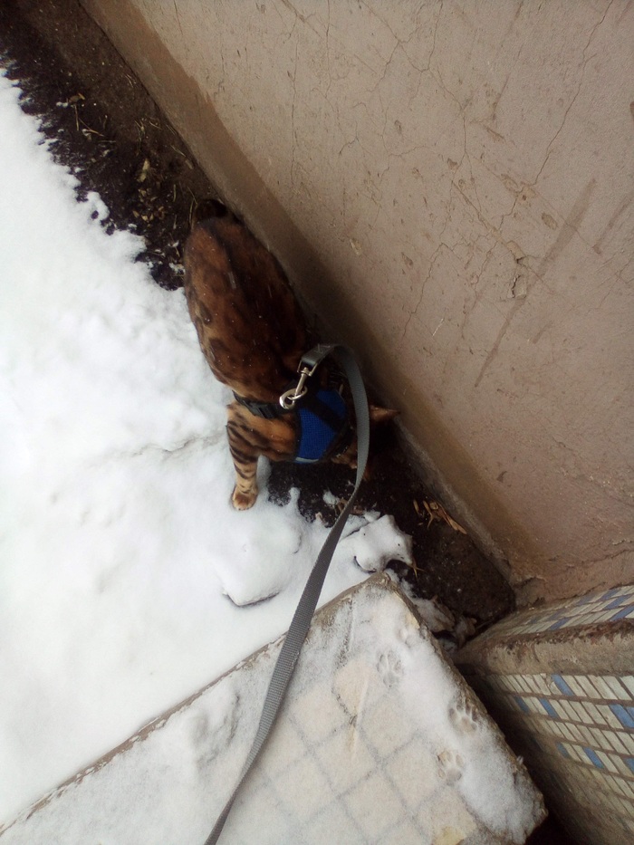 ������ ������ �����