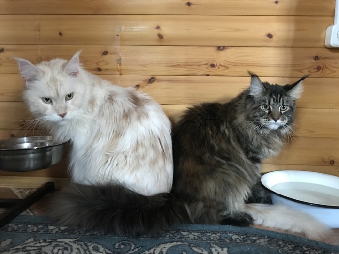 ��� ���� ���� ������ � ����