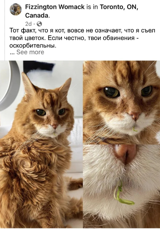 Почти полностью оправдан