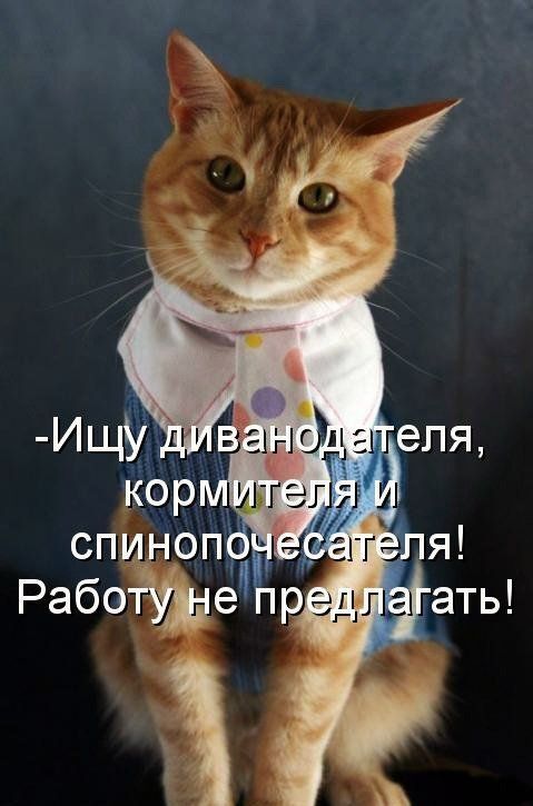  , , ,   