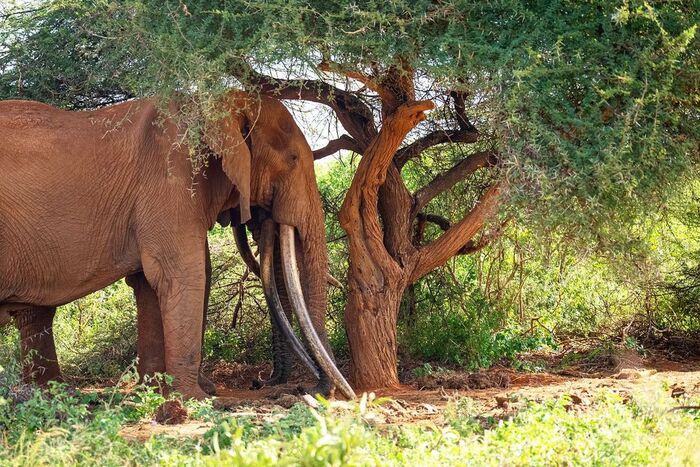 ������������ �����