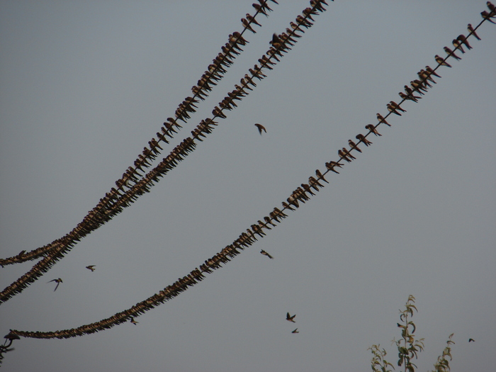 Утренняя зарядка
