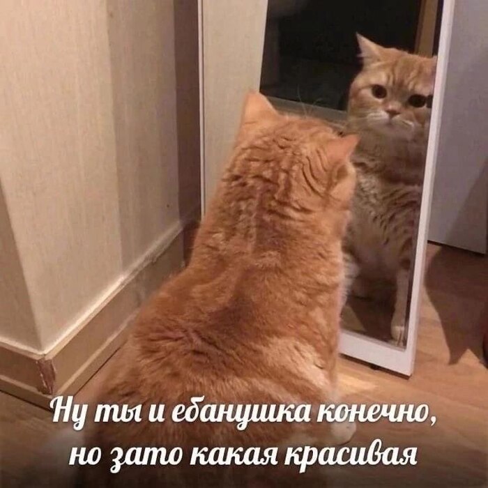 ,   , , , , , 