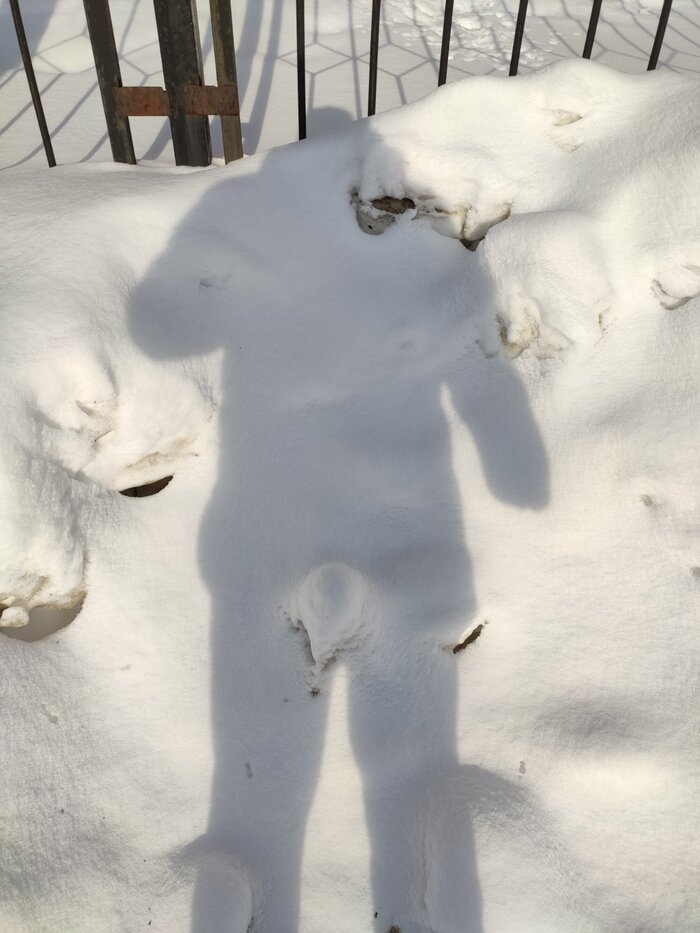 ������ �� ���� ����, ���� ���������� ���������